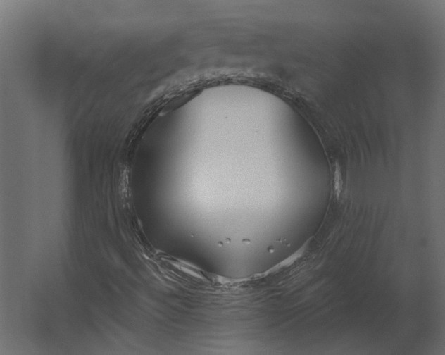 X0000067491492200604211645