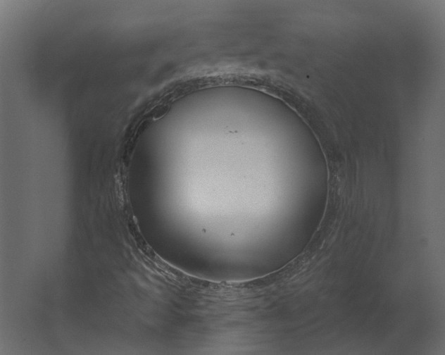 X0000067491493200604211645