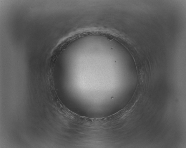 X0000067491494200604211645