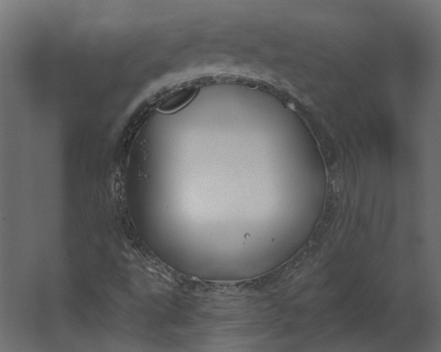 X0000067491495200604211645