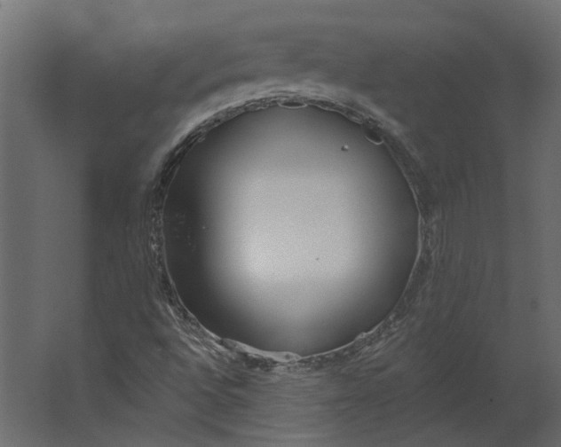 X0000067491496200604211645