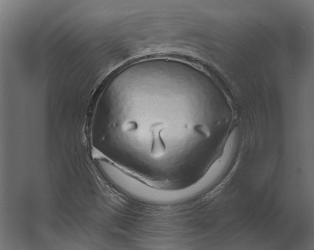 X0000067491497200604211645