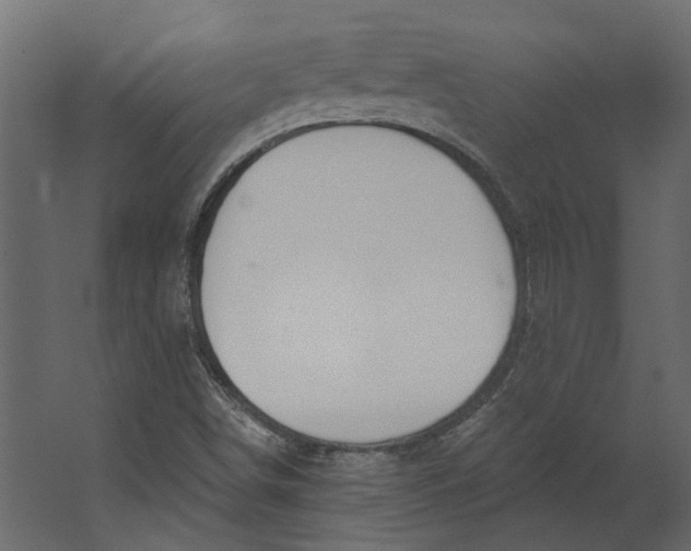 X0000067491498200604211645