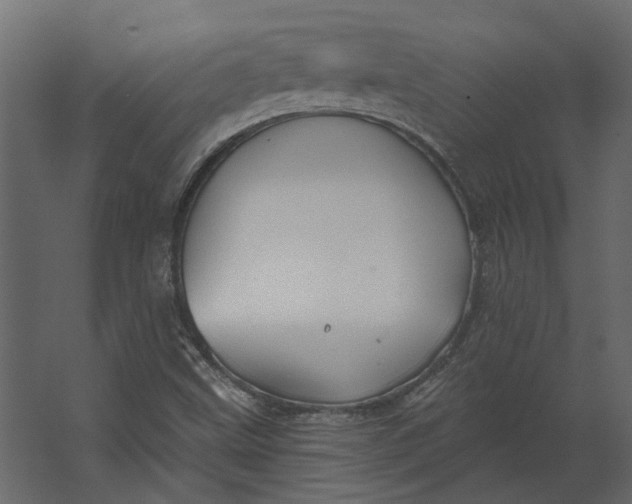 X0000067491499200604211645