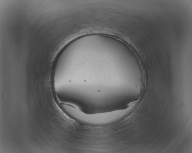 X0000067491500200604211645