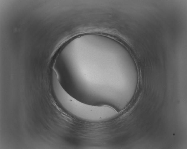 X0000067491501200604211645