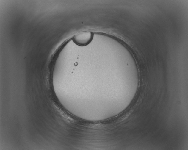 X0000067491502200604211645