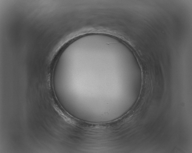 X0000067491503200604211645