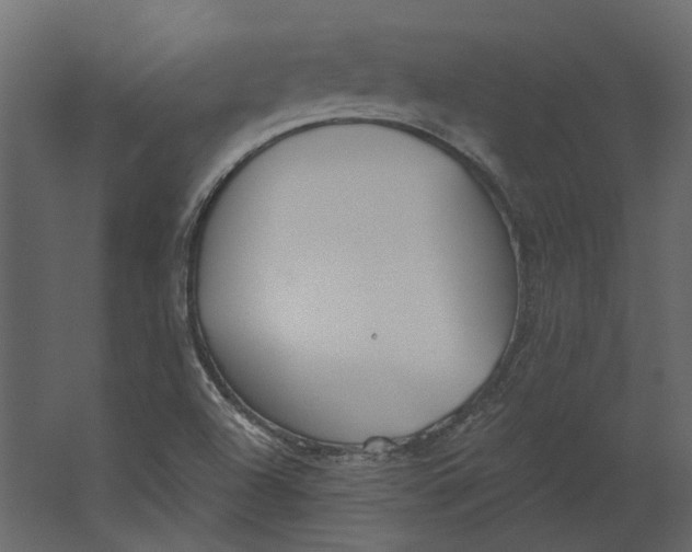 X0000067491504200604211645