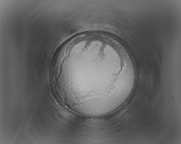 X0000067491505200604211645