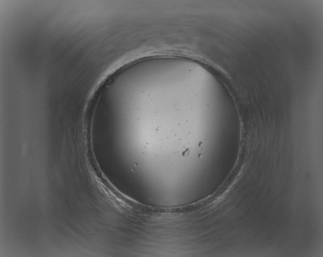 X0000067491506200604211645