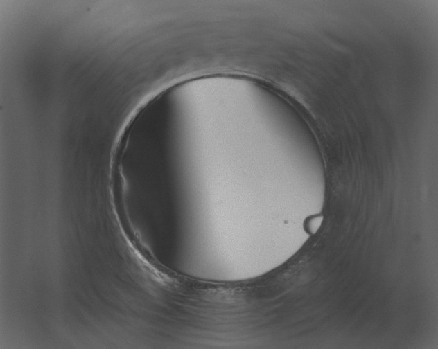 X0000067491508200604211645