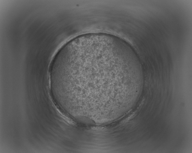 X0000067491509200604211645