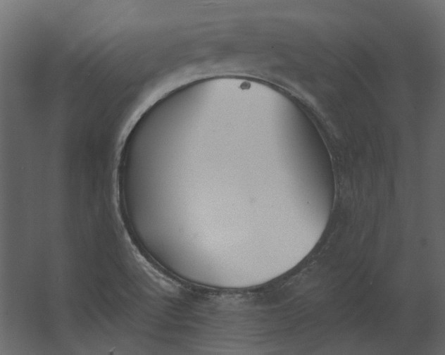 X0000067491512200604211645