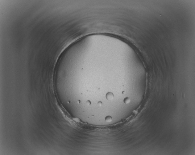 X0000067491513200604211645