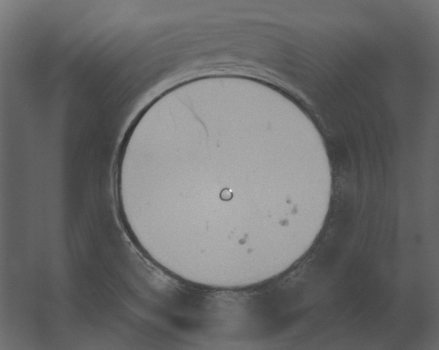 X0000067491514200604211645