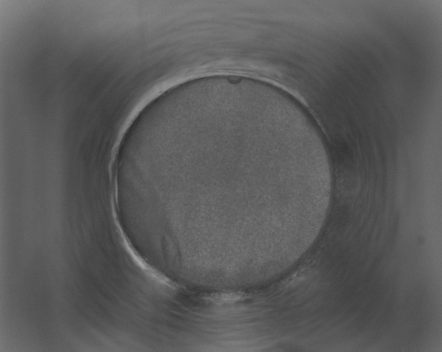 X0000067491515200604211645