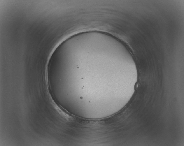 X0000067491516200604211645