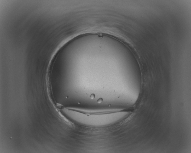 X0000067491517200604211645