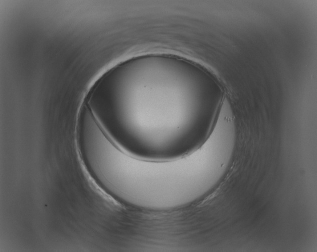 X0000067491518200604211645