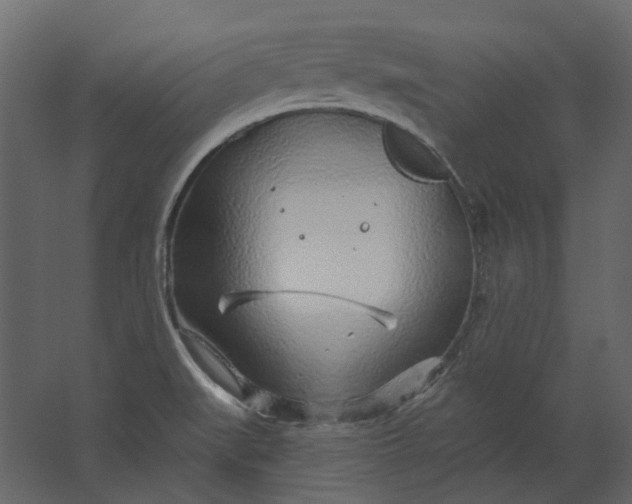 X0000067491519200604211646