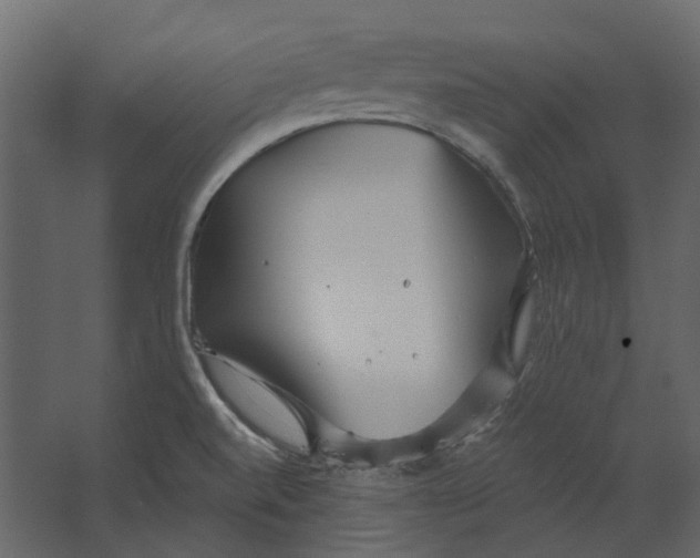 X0000067491520200604211646