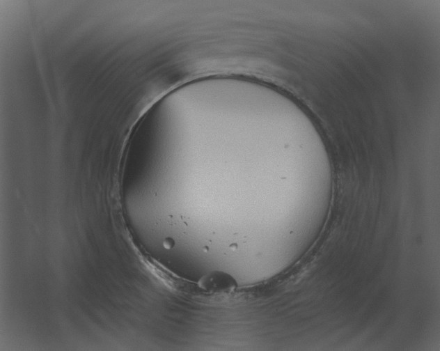 X0000067491521200604211646