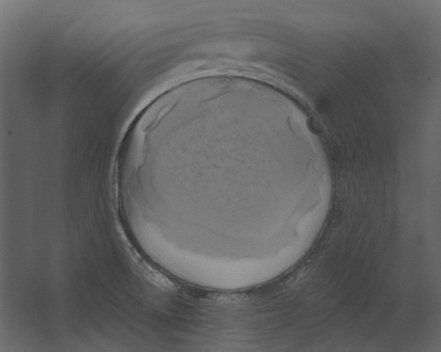 X0000067491522200604211646