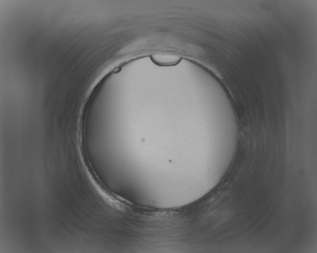 X0000067491523200604211646