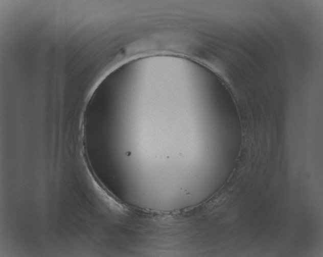 X0000067491524200604211646