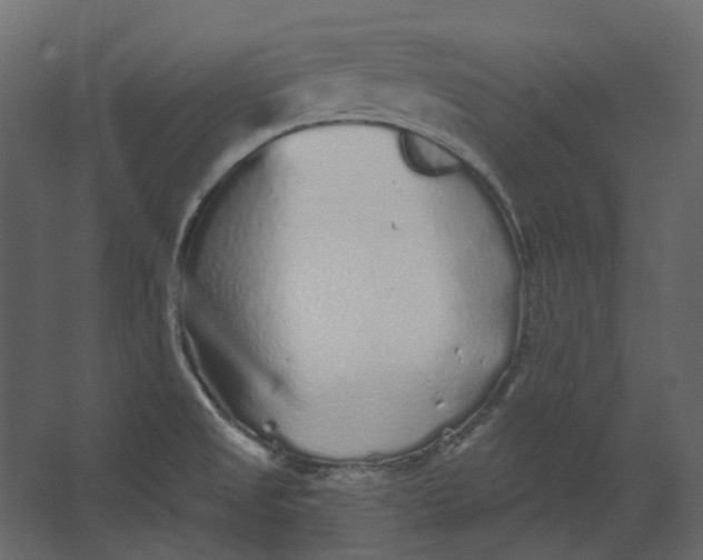 X0000067491525200604211646