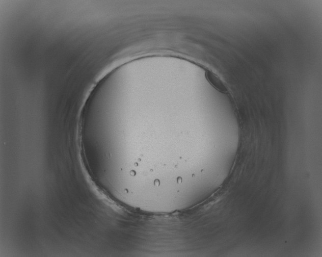 X0000067491526200604211646