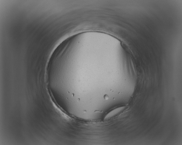 X0000067491527200604211646