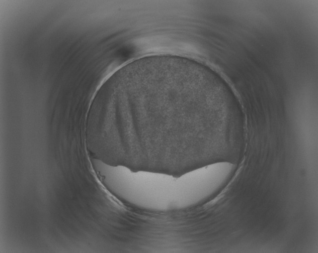 X0000067491529200604211646