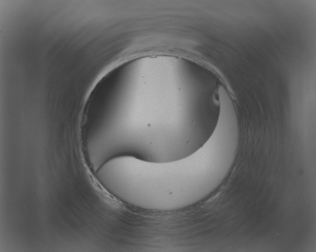 X0000067491530200604211646