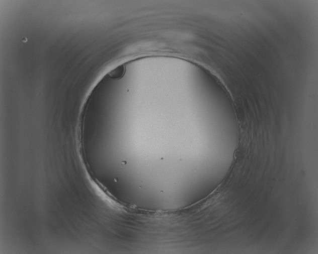 X0000067491531200604211646