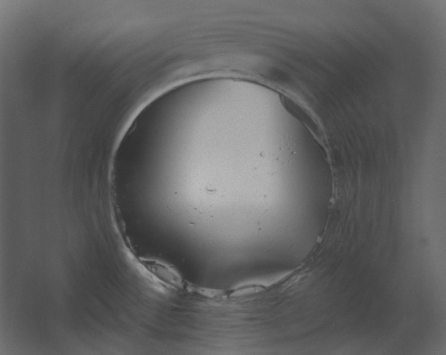 X0000067491532200604211646