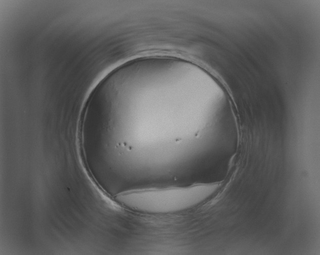 X0000067491533200604211646