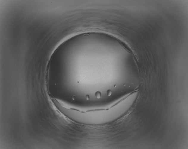 X0000067491534200604211646