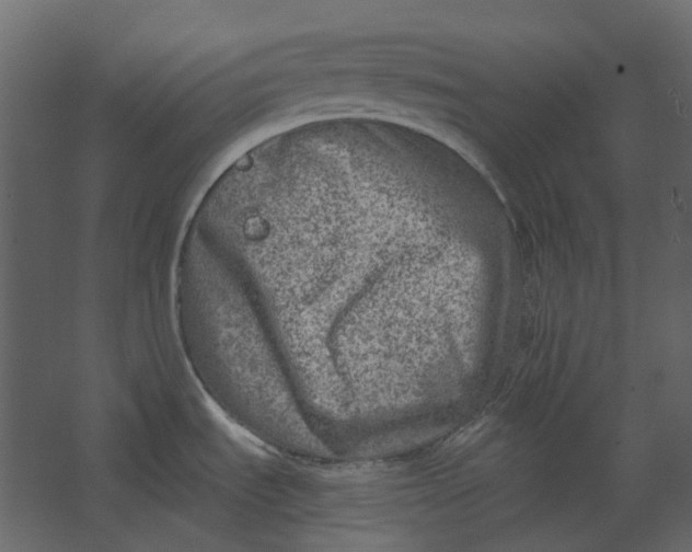 X0000067491535200604211646