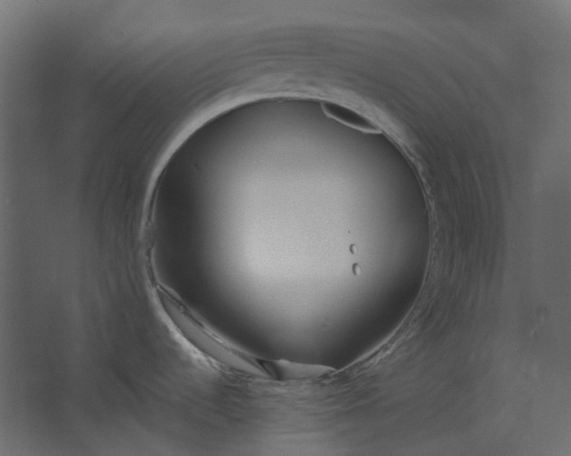 X0000067491536200604211646