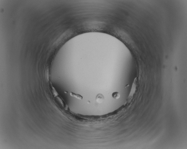 X0000067490021200604281529