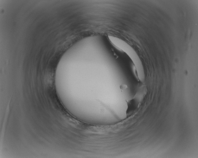 X0000067490033200604281529