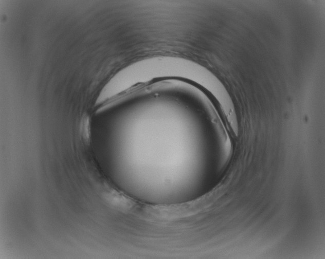 X0000067490041200604281528