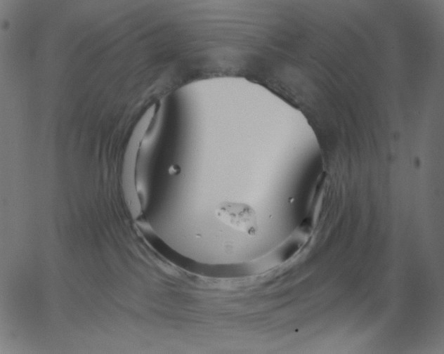 X0000067490045200604281528