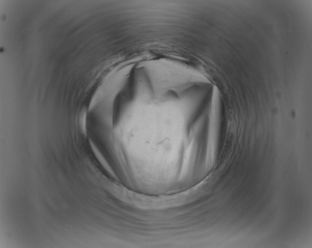 X0000067490047200604281528