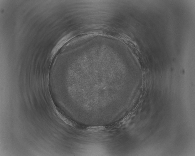 X0000067490051200604281528