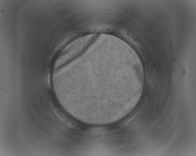X0000067490067200604281528