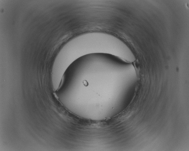 X0000067490072200604281528