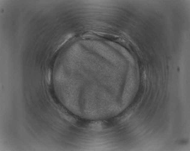 X0000067490076200604281528